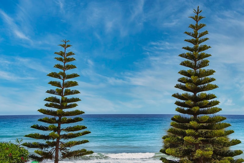 Tropical Paradise Beach
