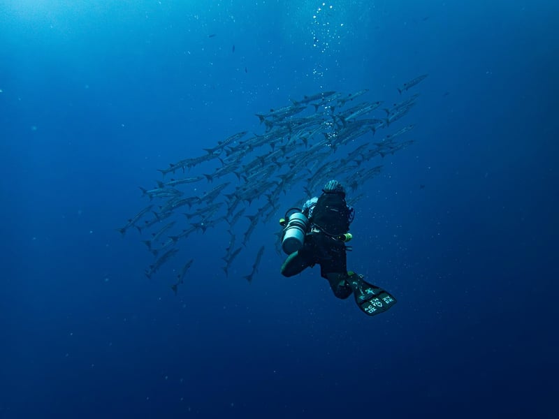 Dive Computer